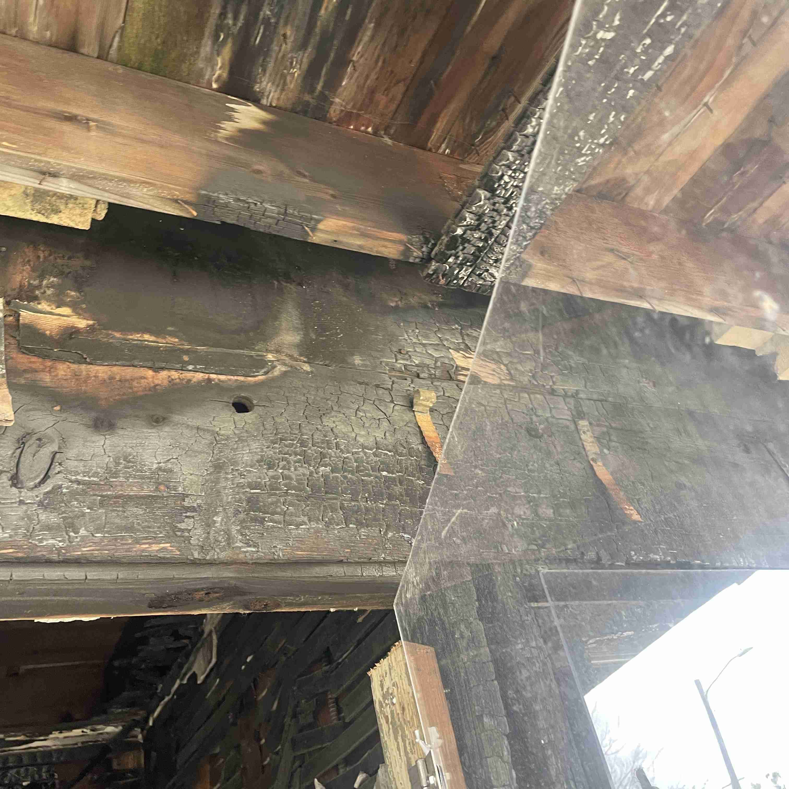 4039 Tuxedo (50).jpg